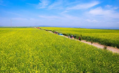 今年夏天2022年高溫時(shí)間長嗎